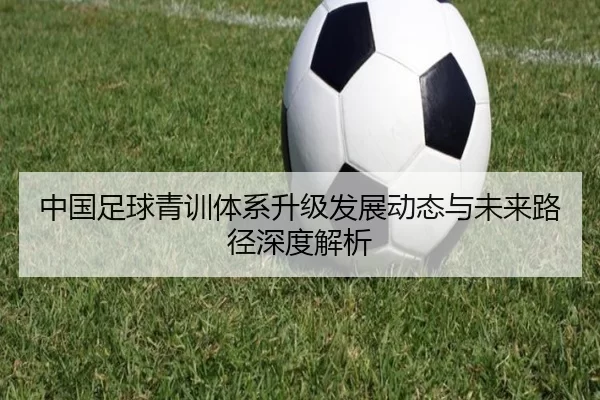 中国足球青训体系升级发展动态与未来路径深度解析